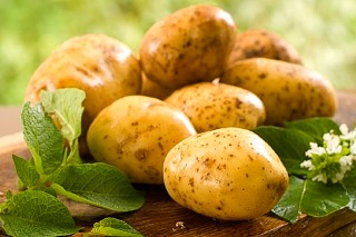 Картофель